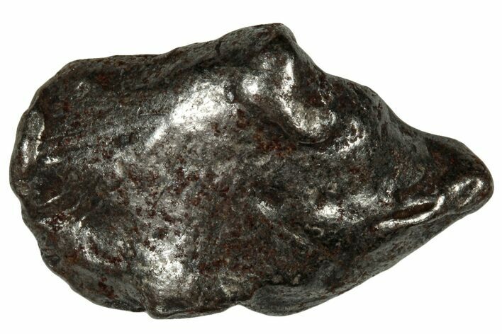 Gebel Kamil Iron Meteorite ( g) - Egypt #302579